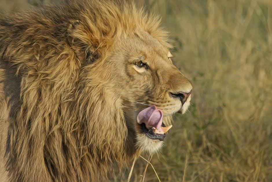 the hunter call of the wild trophy guide