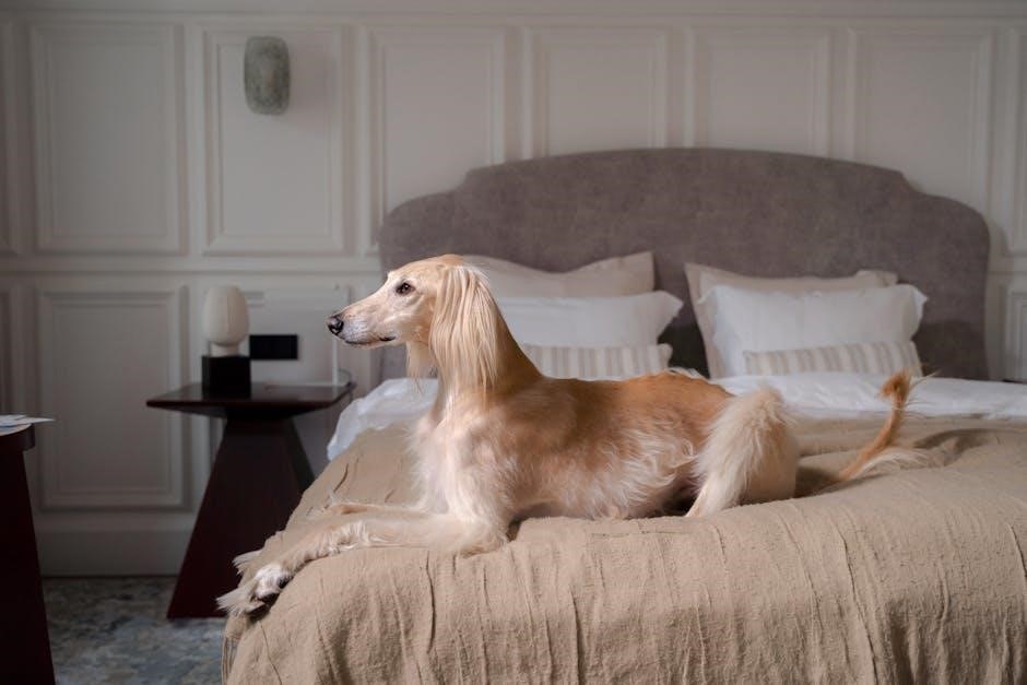 dog bed sizes guide