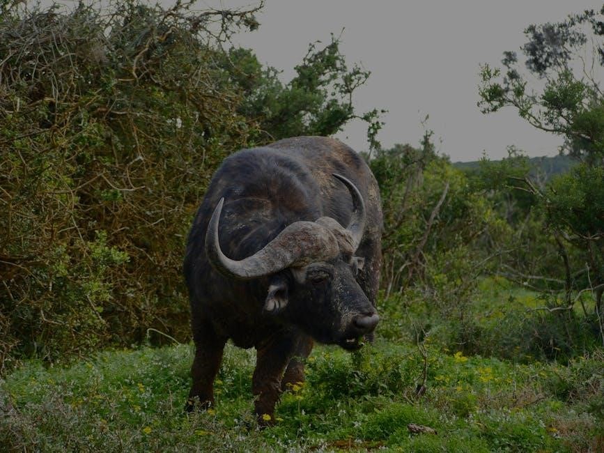 tasco game camera instructions