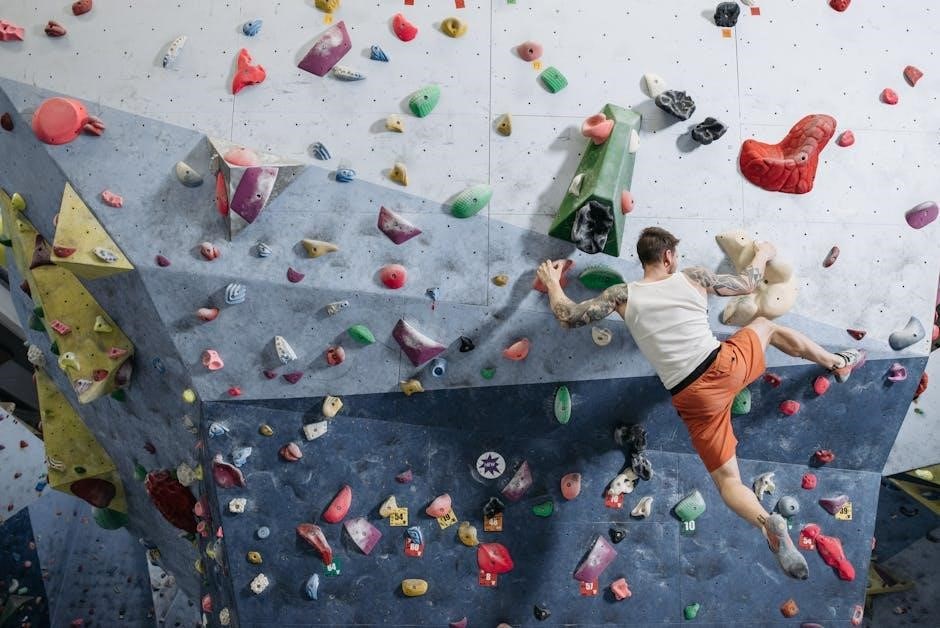 the rock climber’s training manual