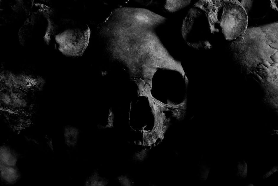 death and the king’s horseman pdf