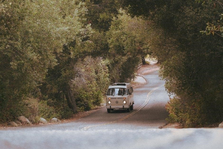 coleman roadtrip manual